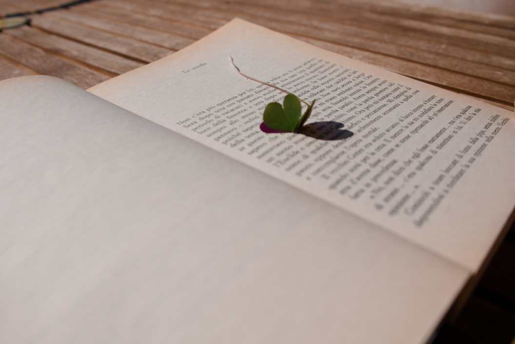 diario-scrivere